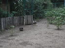 SAM_6057