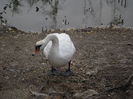 SAM_6060