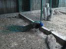 SAM_6064