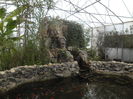 SAM_6106