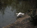 SAM_6131