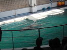 SAM_6132