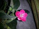 20150718_230455