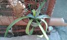 IMG-20150728-WA0013