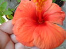 SAM_7916
