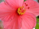 SAM_7919
