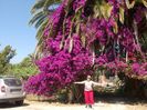 CORFU 23-.30.06 (391)