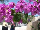 CORFU 23-.30.06 (693)