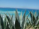 CORFU 23-.30.06 (804)