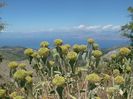 CORFU 23-.30.06 (847)