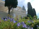 CORFU 23-.30.06 (966)