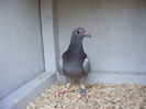 Picture 022