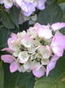 IMG_20150623_101548