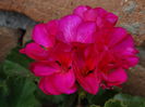 DSC02794