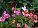 DSC02685