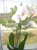 CIMG7615