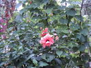 DSC02983