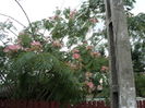 DSC02966