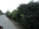 Parcul de la poarta