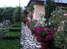 Poftiti in curte la mine