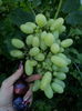 20150725_190942