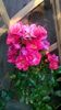 WP_20150719_008