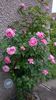 WP_20150526_009