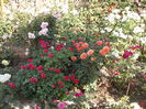 DSCF3942
