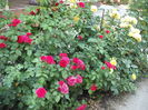 DSCF3979