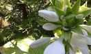 20150730_112055