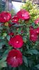 WP_20150730_042