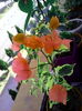 IMG_20150730_155507