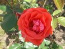 039 - Copy