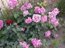 043 - Copy