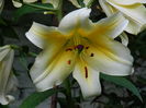 DSCN2442
