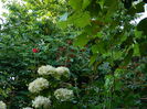 DSCN2459