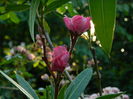 DSCN2468
