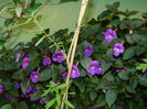 DSCN2477