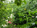DSCN2486
