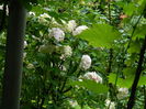 DSCN2488