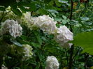 DSCN2489