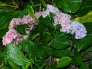 DSCN2491