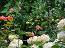 DSCN2494
