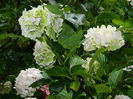 DSCN2495