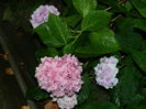 DSCN2497