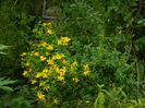 DSCN2555