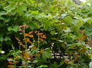 DSCN2558