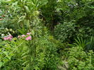 DSCN2568