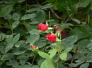 DSCN2570