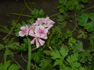 DSCN2571